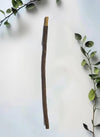 Olive Miswak