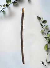 Olive Miswak
