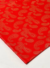 Paisley Print Hijabs